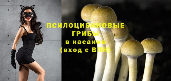 СК Нягань