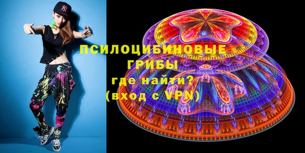 герыч Няндома
