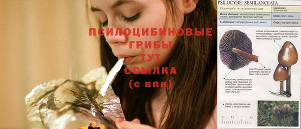 ECSTASY Нязепетровск