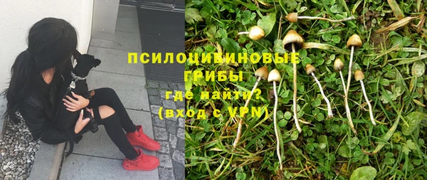 СК Нягань